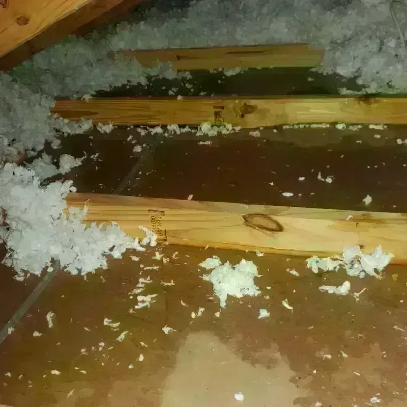 Attic Water Damage in Johnson Lane, NV