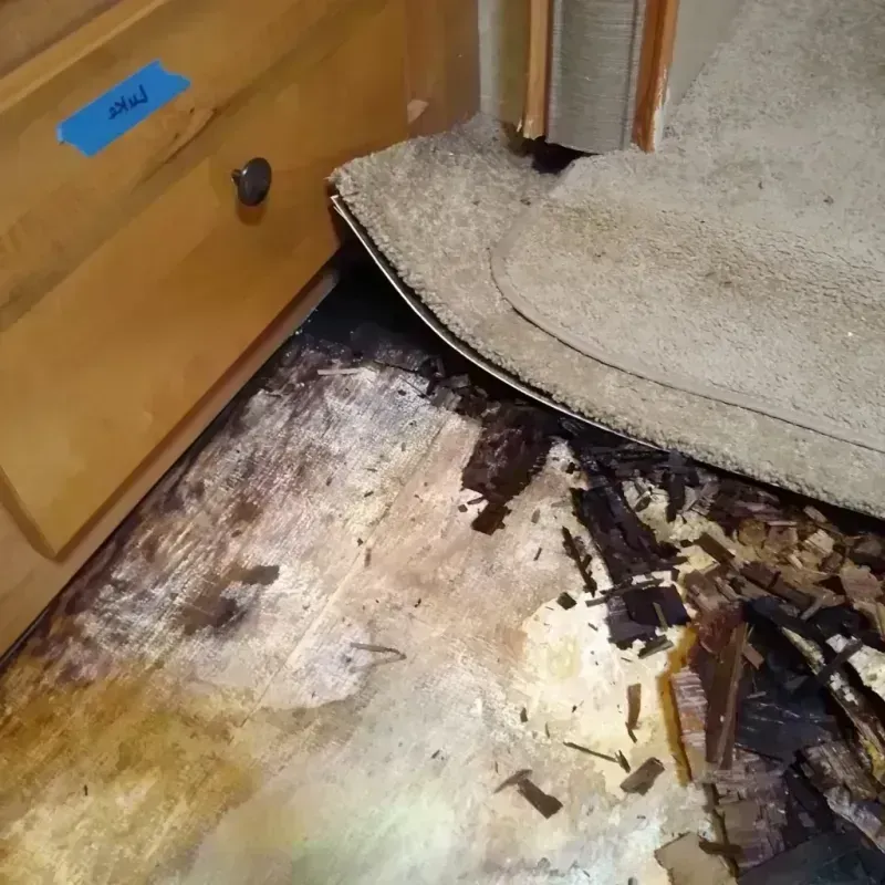 Wood Floor Water Damage in Johnson Lane, NV